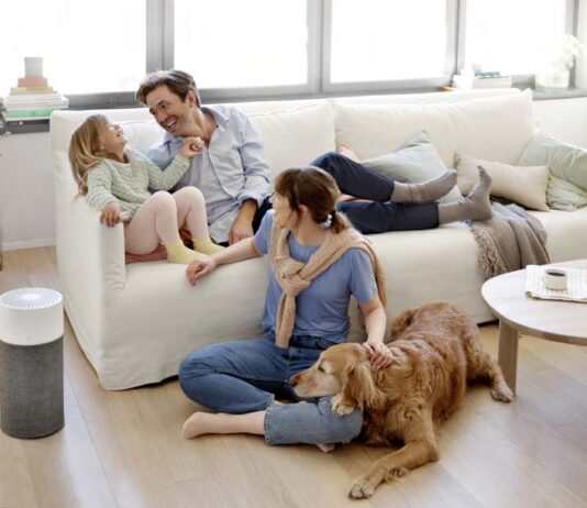 Blue Air Purifiers