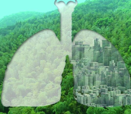 Sustainable Transition Green Opportunity 2020